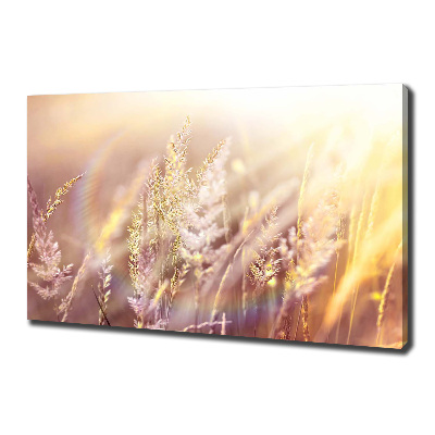 Tableau mural sur toile Grandes herbes