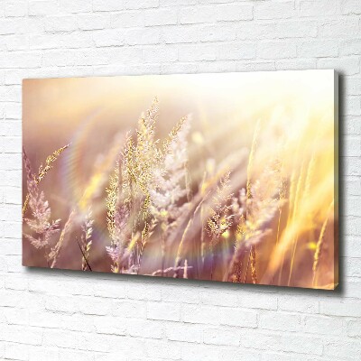 Tableau mural sur toile Grandes herbes