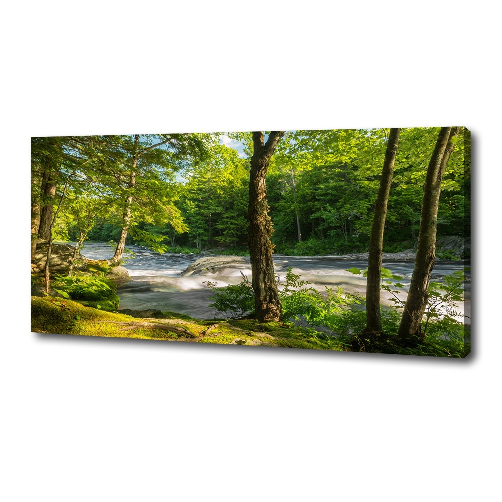 Tableau photo sur toile Rivière dans la forêt