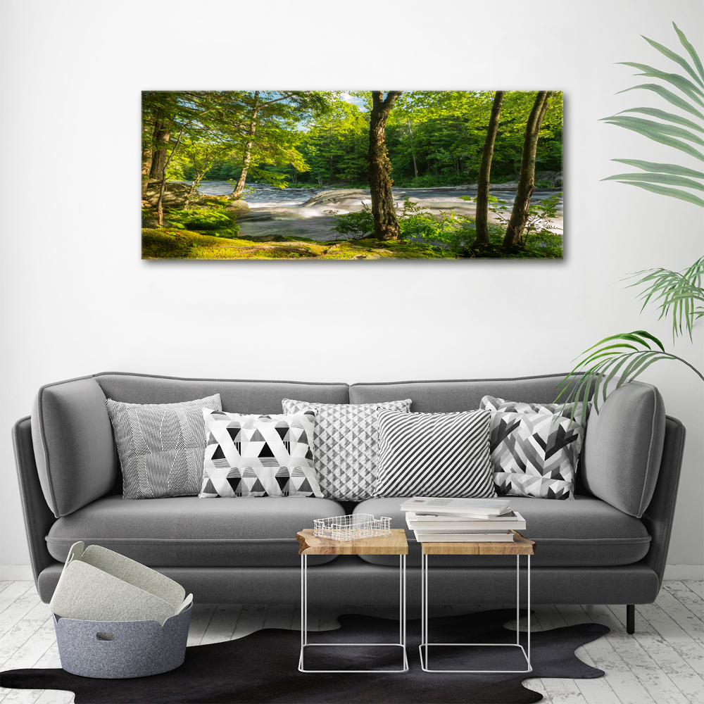 Tableau photo sur toile Rivière dans la forêt