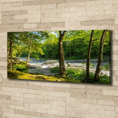 Tableau photo sur toile Rivière dans la forêt