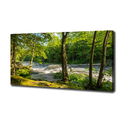 Tableau photo sur toile Rivière dans la forêt