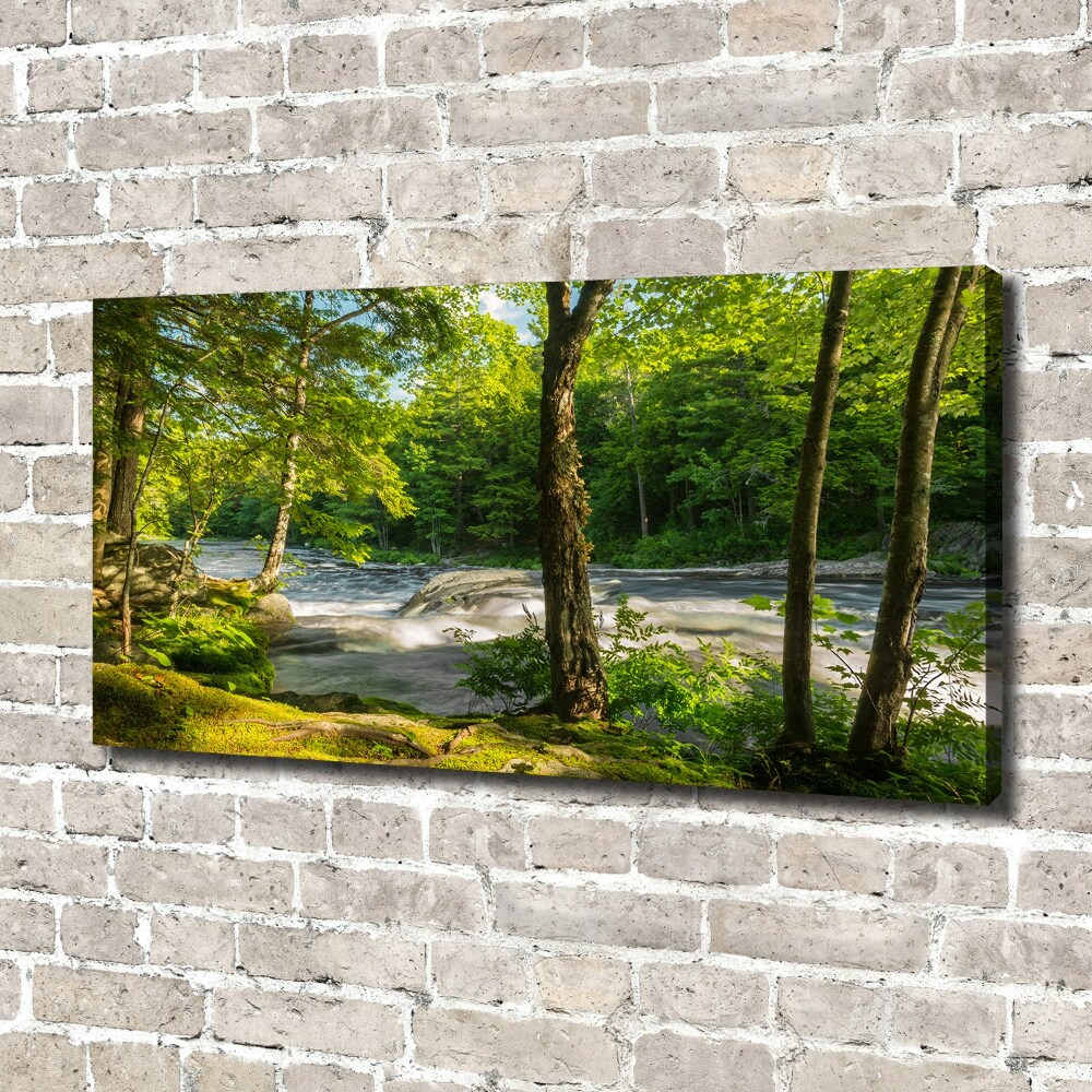 Tableau photo sur toile Rivière dans la forêt