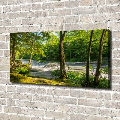 Tableau photo sur toile Rivière dans la forêt