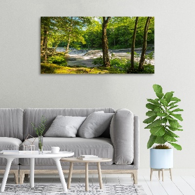 Tableau photo sur toile Rivière dans la forêt