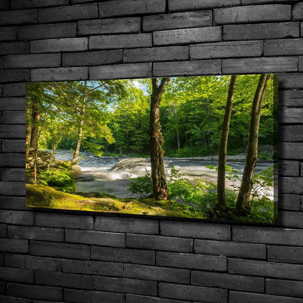 Tableau photo sur toile Rivière dans la forêt