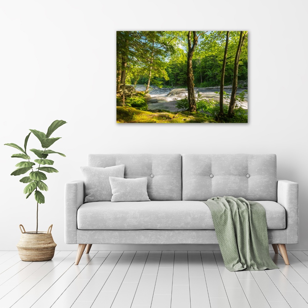 Tableau photo sur toile Rivière dans la forêt