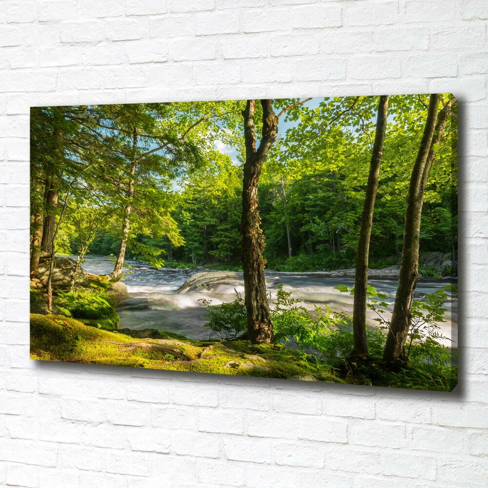 Tableau photo sur toile Rivière dans la forêt