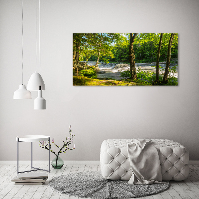 Tableau photo sur toile Rivière dans la forêt