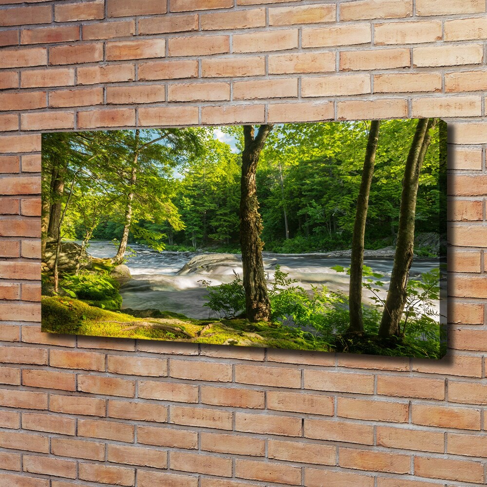 Tableau photo sur toile Rivière dans la forêt