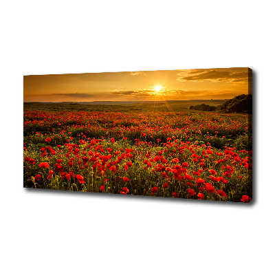 Tableau photo sur toile Champ de coquelicots