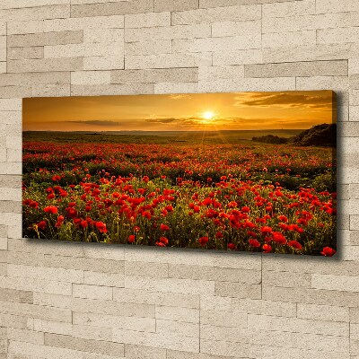 Tableau photo sur toile Champ de coquelicots