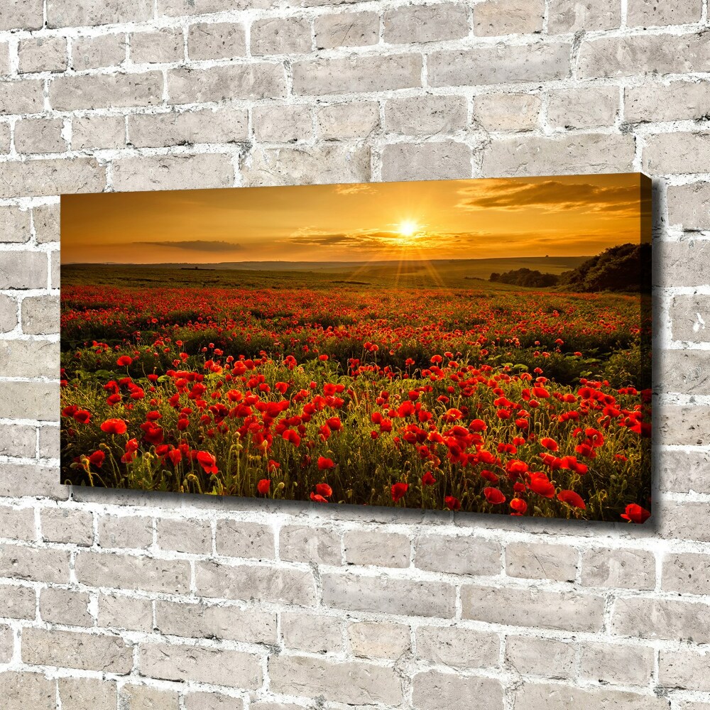 Tableau photo sur toile Champ de coquelicots