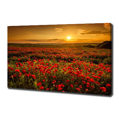 Tableau photo sur toile Champ de coquelicots