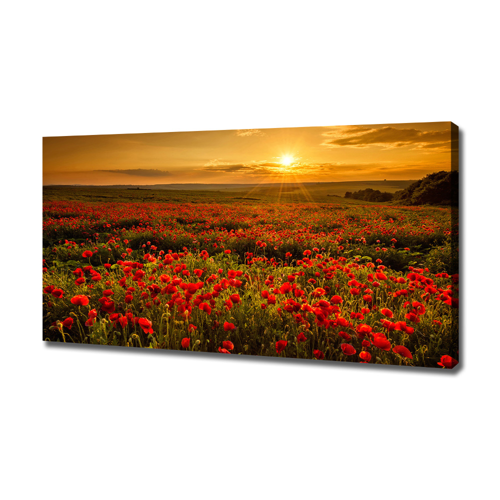 Tableau photo sur toile Champ de coquelicots