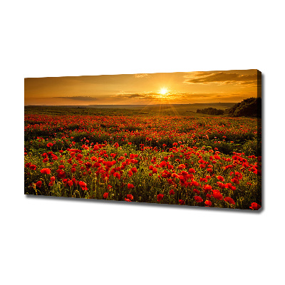 Tableau photo sur toile Champ de coquelicots