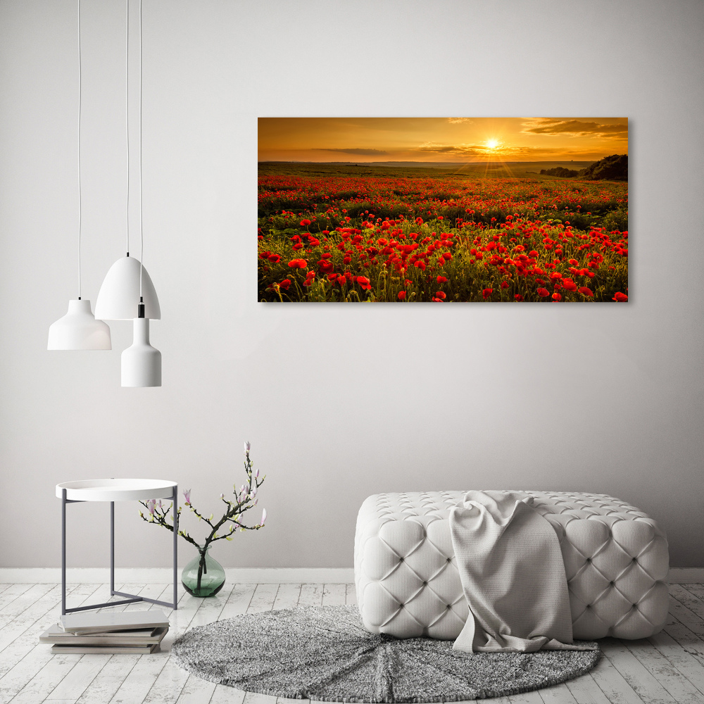 Tableau photo sur toile Champ de coquelicots