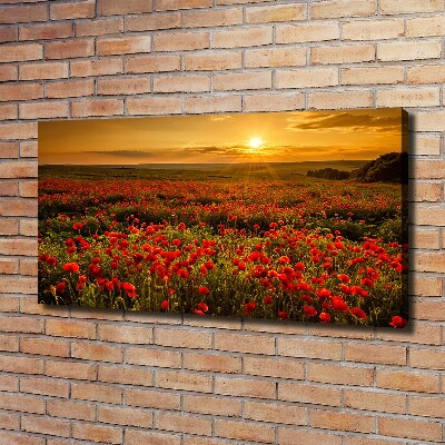 Tableau photo sur toile Champ de coquelicots