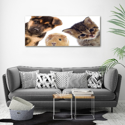 Tableau imprimé sur toile Animaux de compagnie