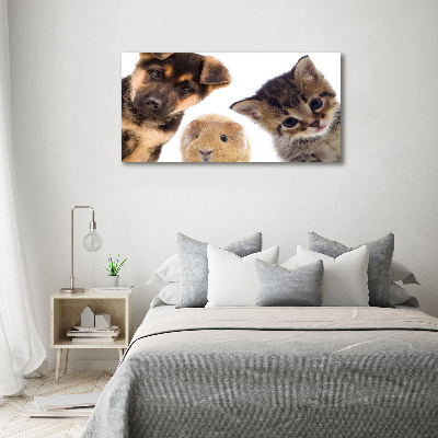 Tableau imprimé sur toile Animaux de compagnie