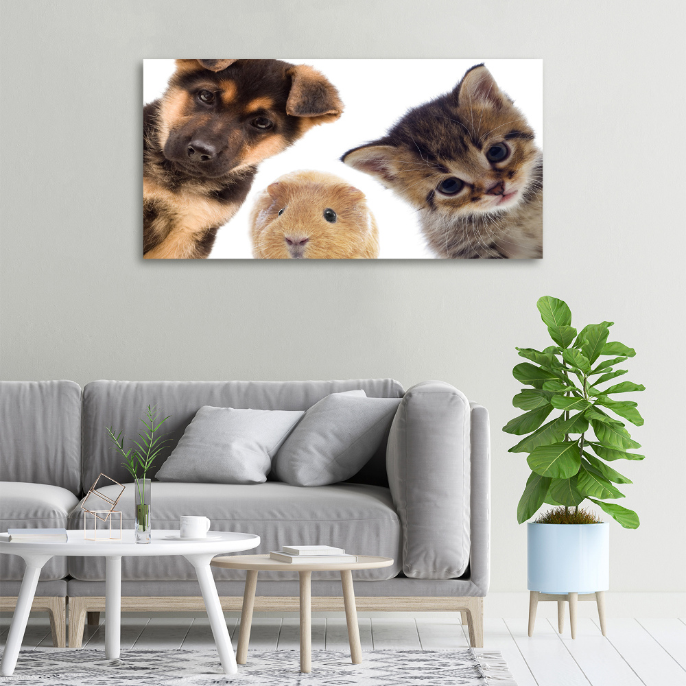 Tableau imprimé sur toile Animaux de compagnie