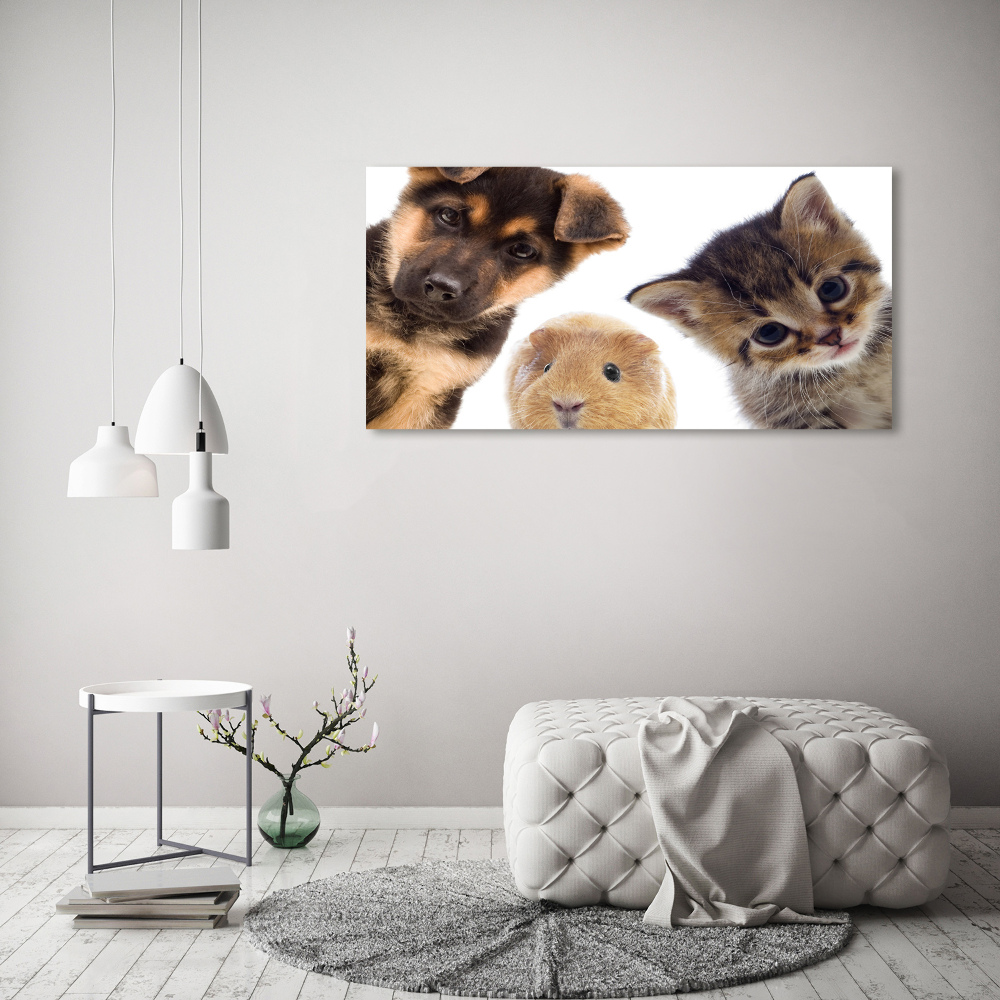 Tableau imprimé sur toile Animaux de compagnie