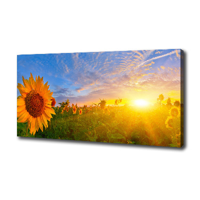 Tableau photo sur toile Champ de tournesols