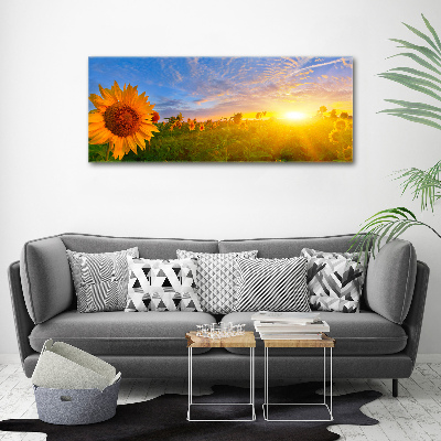 Tableau photo sur toile Champ de tournesols