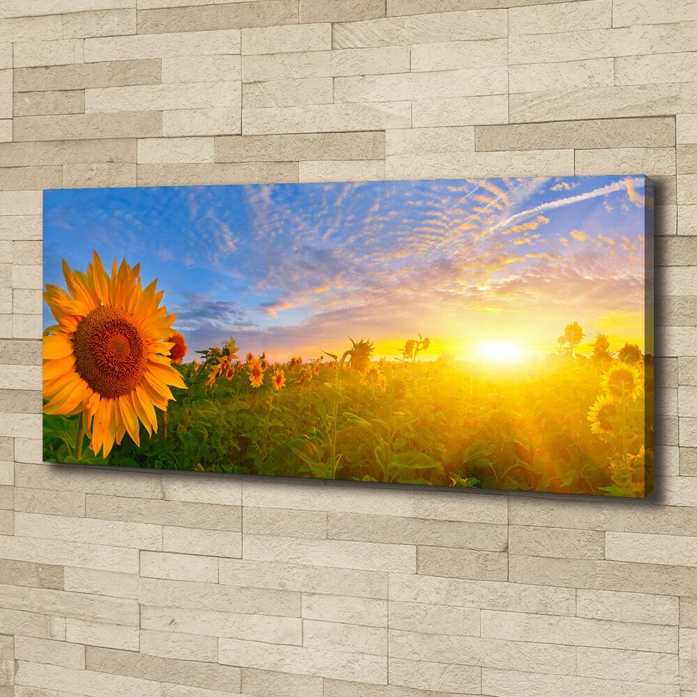 Tableau photo sur toile Champ de tournesols