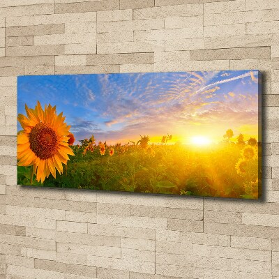 Tableau photo sur toile Champ de tournesols