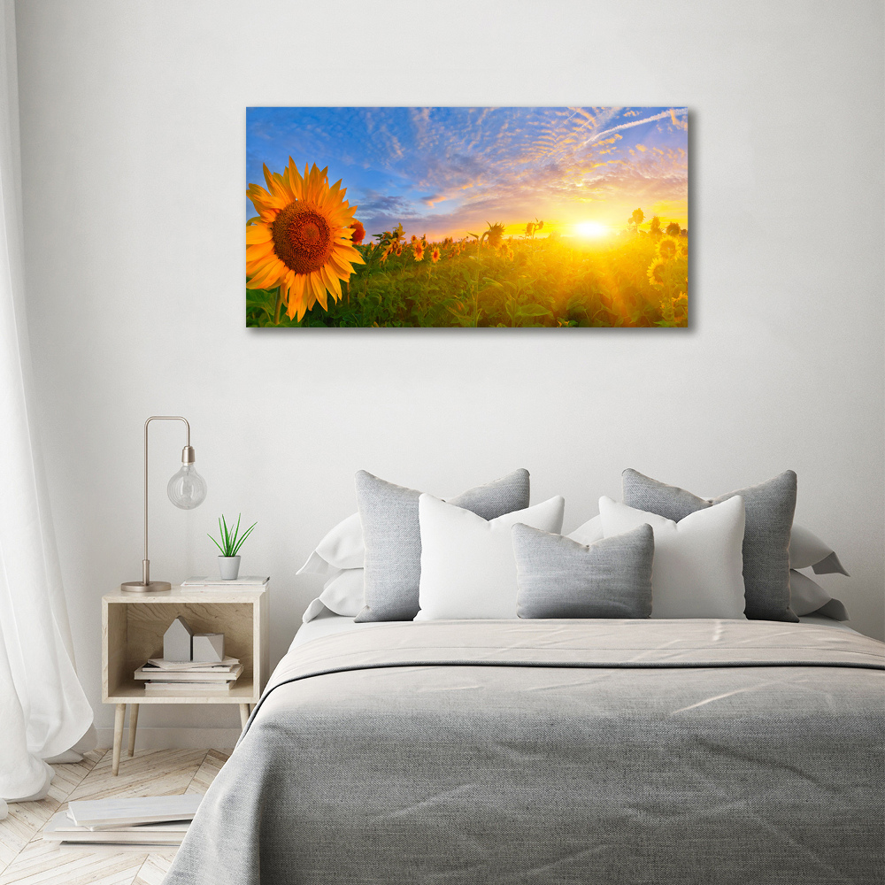 Tableau photo sur toile Champ de tournesols