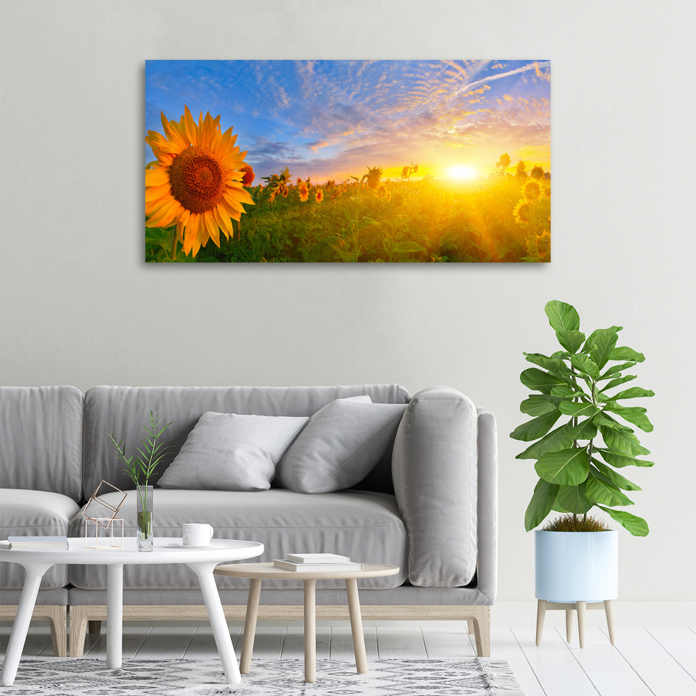 Tableau photo sur toile Champ de tournesols