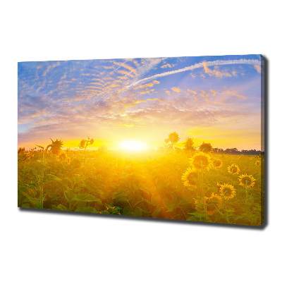 Tableau photo sur toile Champ de tournesols