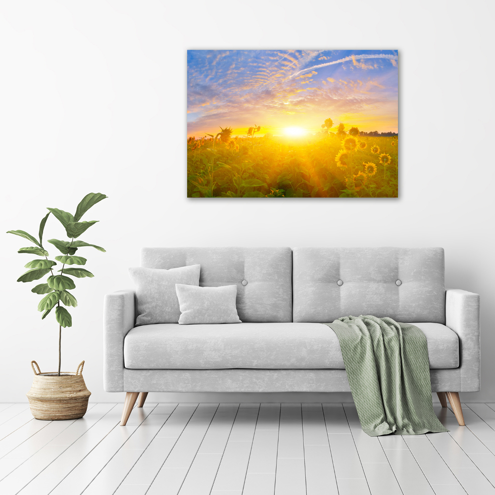 Tableau photo sur toile Champ de tournesols