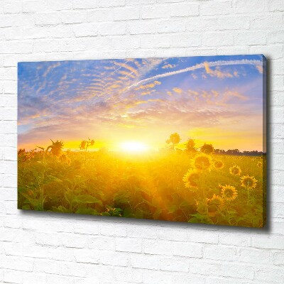 Tableau photo sur toile Champ de tournesols