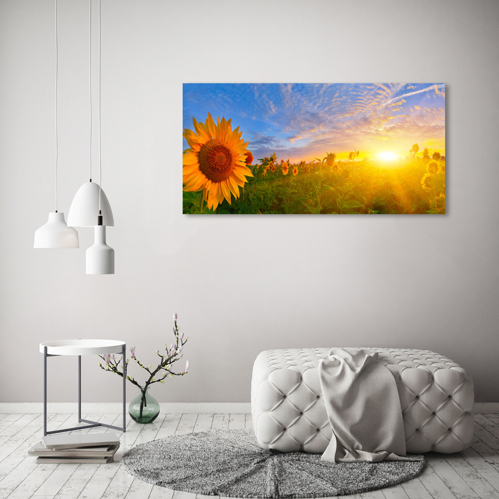 Tableau photo sur toile Champ de tournesols