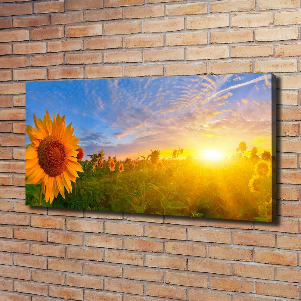 Tableau photo sur toile Champ de tournesols