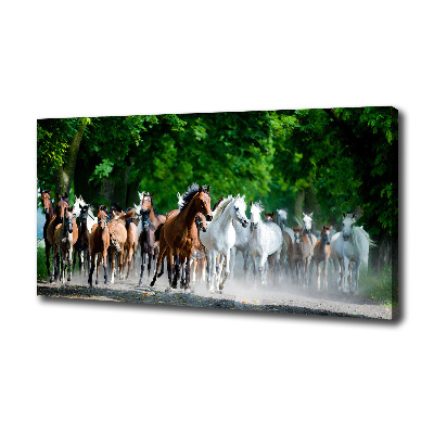 Tableau sur toile Chevaux au galop