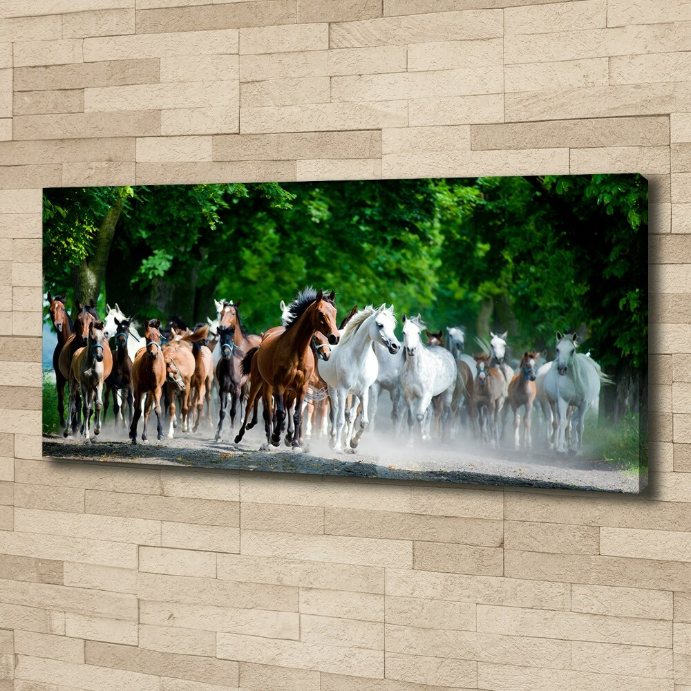 Tableau sur toile Chevaux au galop