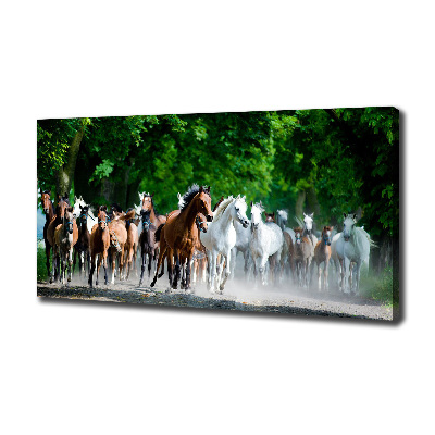 Tableau sur toile Chevaux au galop