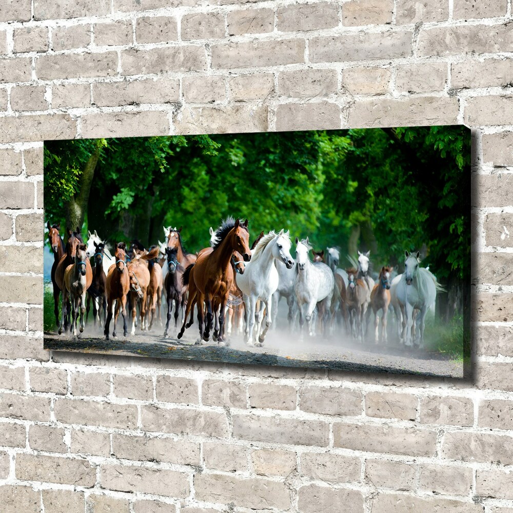 Tableau sur toile Chevaux au galop