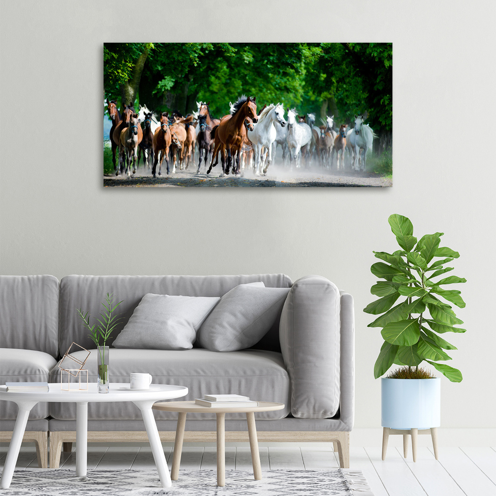 Tableau sur toile Chevaux au galop