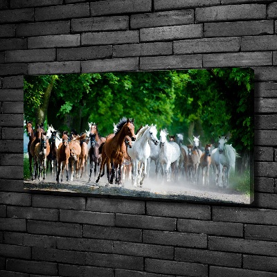 Tableau sur toile Chevaux au galop