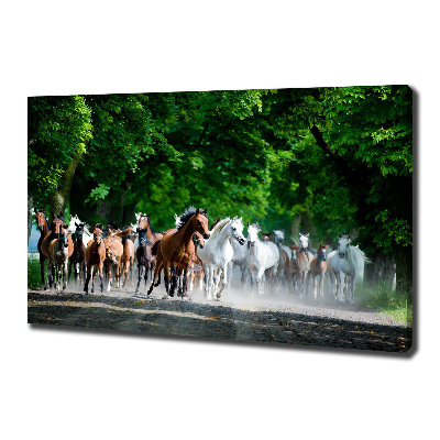 Tableau sur toile Chevaux au galop