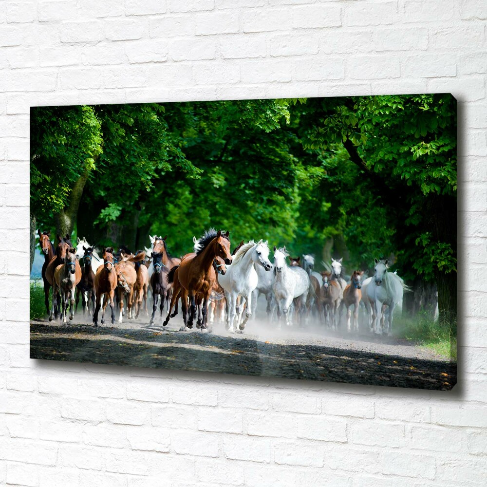 Tableau sur toile Chevaux au galop