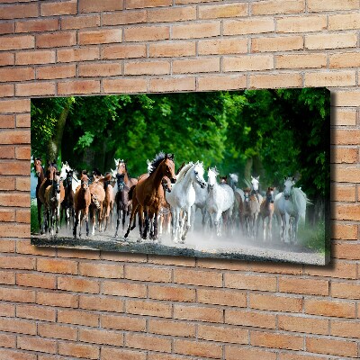 Tableau sur toile Chevaux au galop