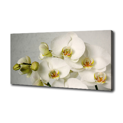 Tableau sur toile Orchidée blanche