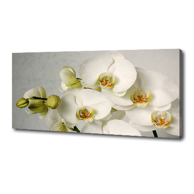 Tableau sur toile Orchidée blanche