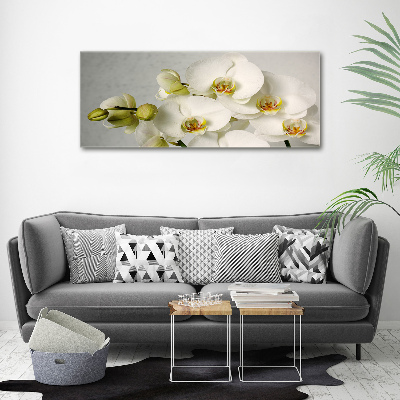 Tableau sur toile Orchidée blanche