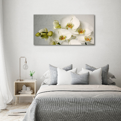 Tableau sur toile Orchidée blanche